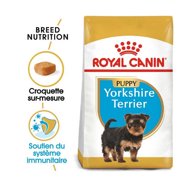 Image de BHN Yorkshire Ter. Puppy 1,5kg