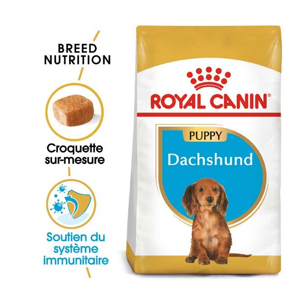 Image de BHN DACHSHUND PUPPY 1,5kg