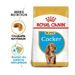 Image de BHN COCKER PUPPY 3kg