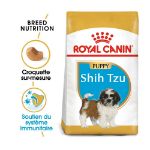 Image de BHN SHIH TZU PUPPY 1,5kg