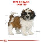 Image de BHN Shih Tzu Puppy 1,5kg