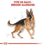 Image de BHN GERMAN SHEPHERD 5+ 12 KG