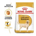 Image de BHN LABRADOR RETRIEVER 3kg