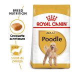 Image de BHN POODLE 7,5kg