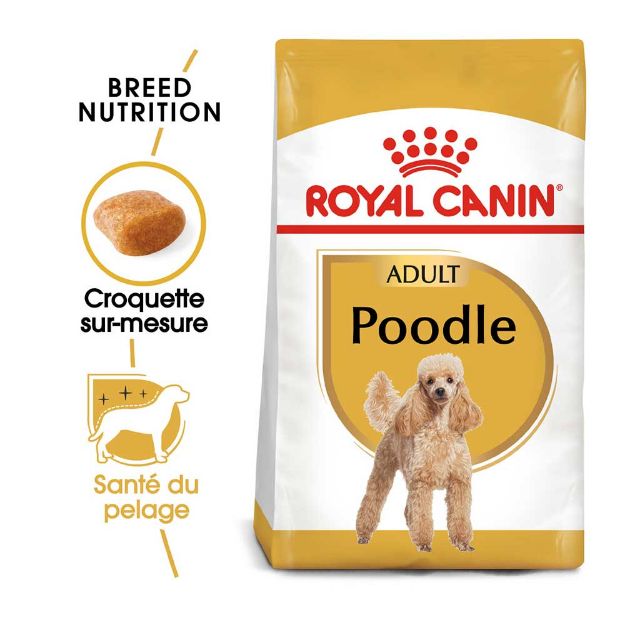 Image de BHN POODLE 7,5kg