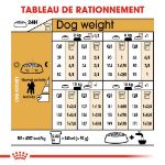 Image de BHN POODLE 7,5kg