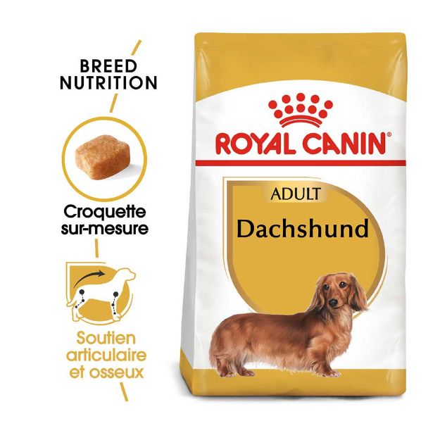 Image de BHN DACHSHUND 1,5kg