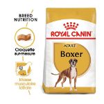 Image de BHN BOXER 3kg