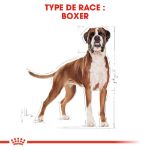 Image de BHN BOXER 3kg