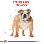 Image de BHN BULLDOG 3kg