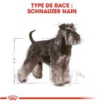 Image de BHN MINIATURE SCHNAUZER 3kg