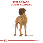 Image de BHN GREAT DANE 12kg