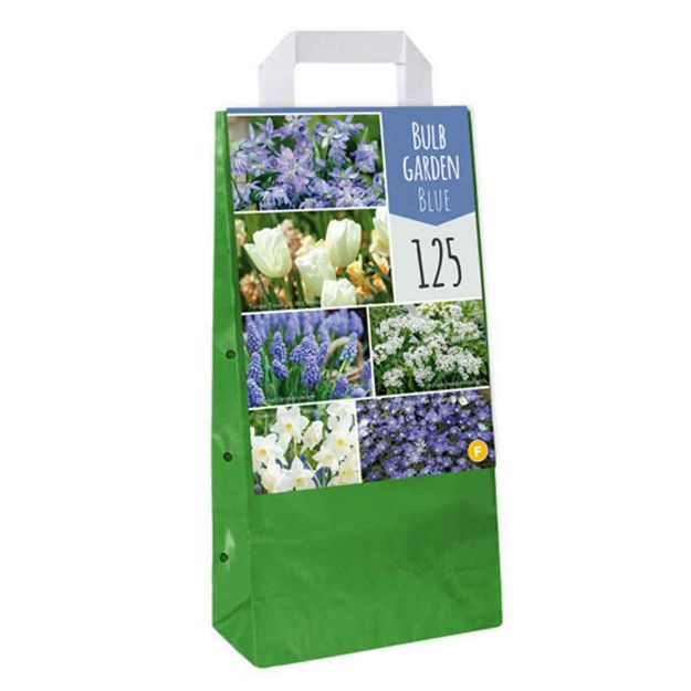 Image de 125 cadeau bulb garden blue i