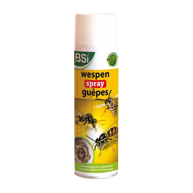 Image de SPRAY GUEPES