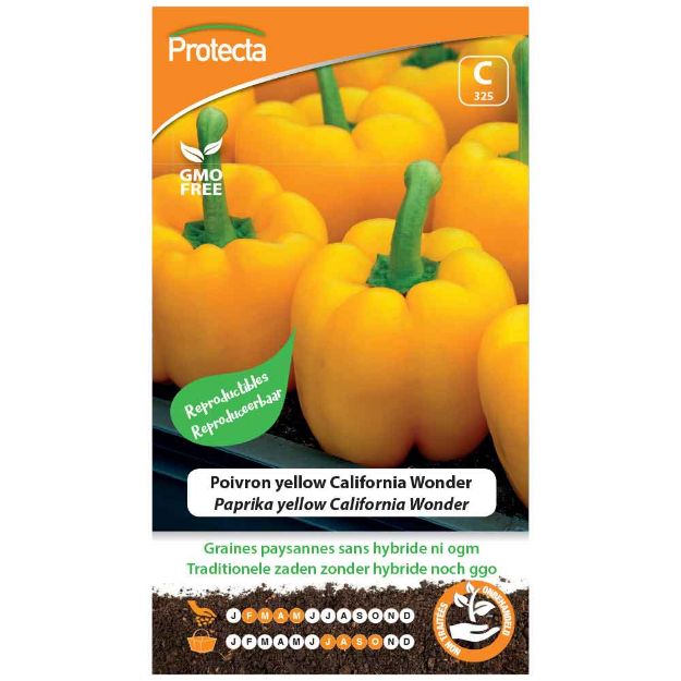 Image de Graines de poivron yellow california wonder - Protecta