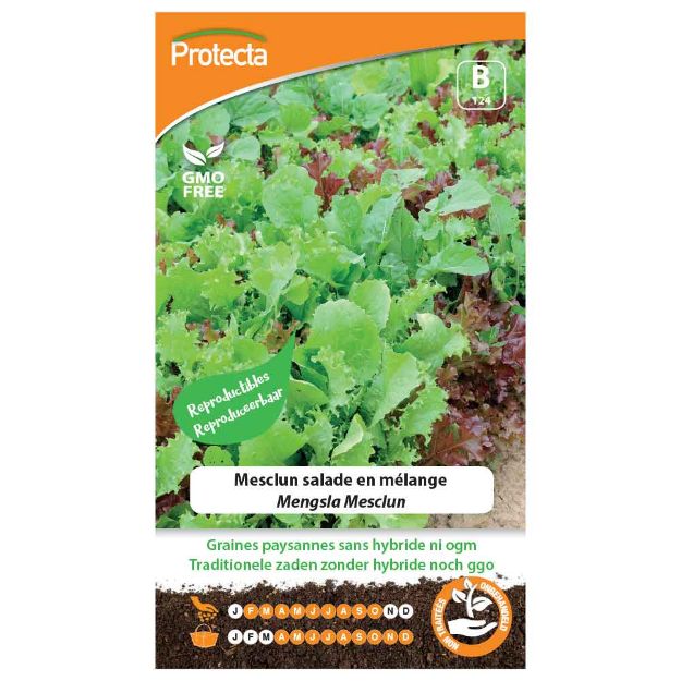 Image de Graines de mesclun salade en mélange - Protecta