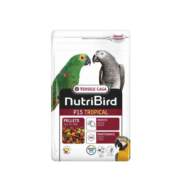 Image de NutriBird P15 Tropical 1 kg