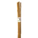 Image de TUTEUR BAMBOU NAT - H60 CM - 10 X