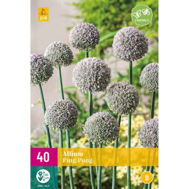 Image de 40 allium ping pong calibre : calibre : 6/+