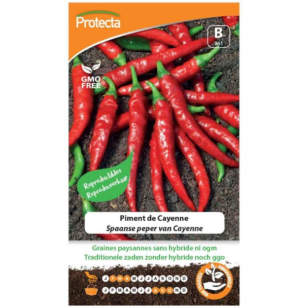 Image de Graines de piment de cayenne - Protecta