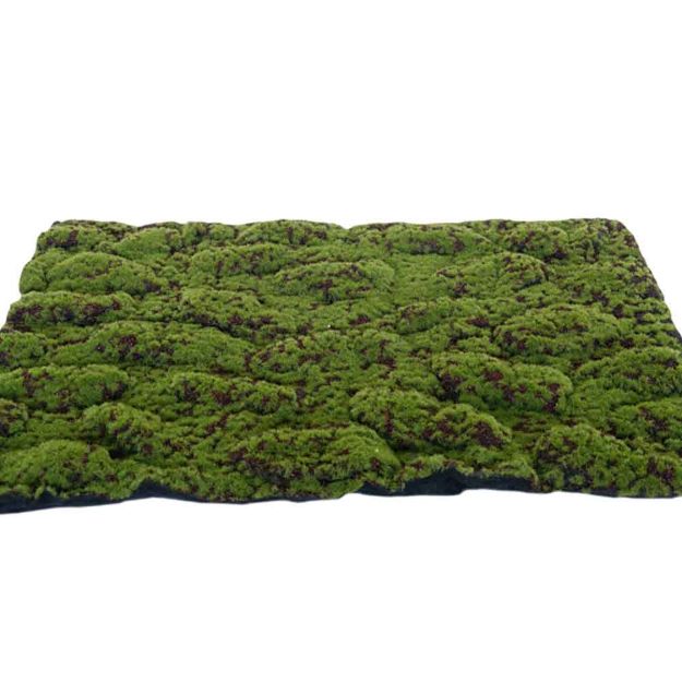 Image de Tapis de mousse artificiel vert-marron 70X50CM