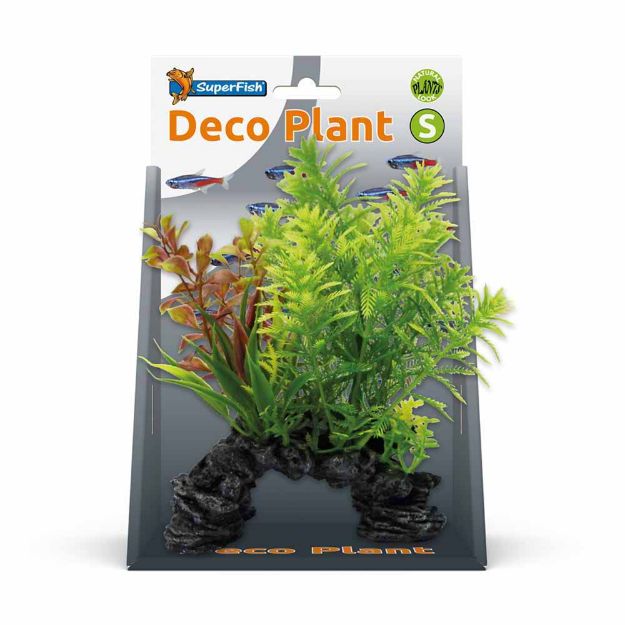 Image de SUPERFISH DECO PLANT S HOTTONIA