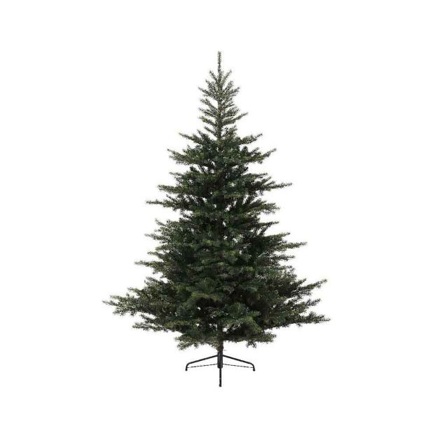 Image de sapin Grandis 180cm vert