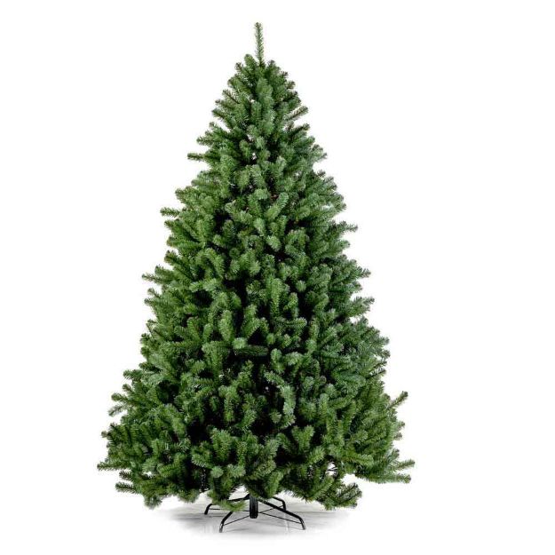 Image de Sapin Boston Spruce Hinged 150cm