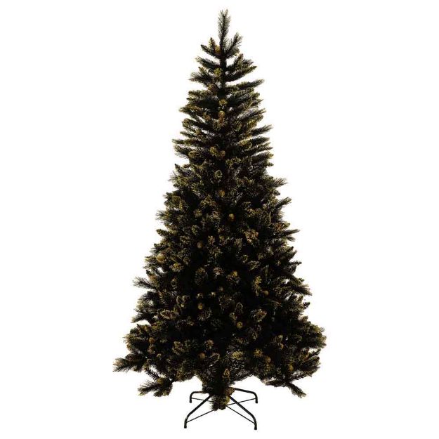 Image de Sapin Golden Black Bristle h228cm