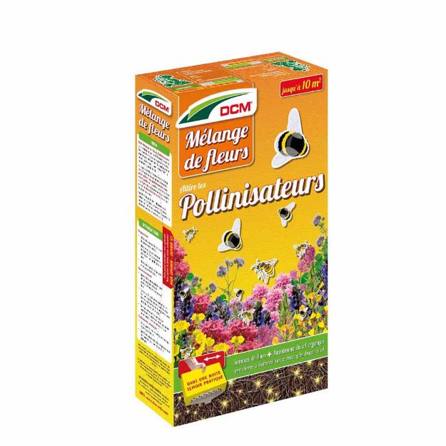 Image de DCM ABEILLES ET AUTRES POLLINISATEURS 520GR