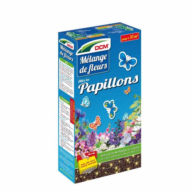 Image de DCM PAPILLONS 520 GR /10M2