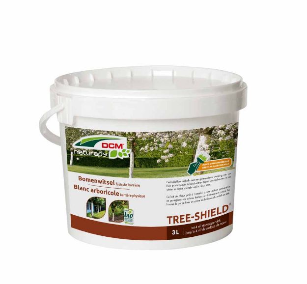 Image de DCM TREE-SHIELD badigeonnable 3L/4KG