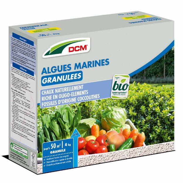 Image de DCM ALG MARINES GRAN 4KG