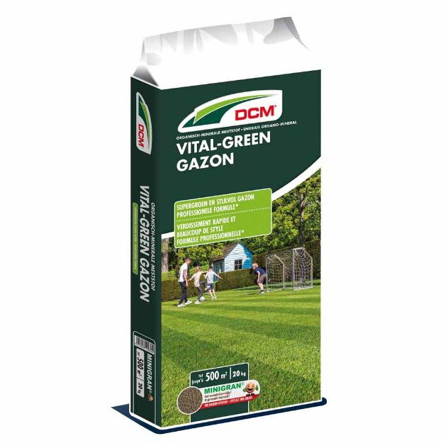 Image de DCM VITAL-GREEN GAZON 20KG