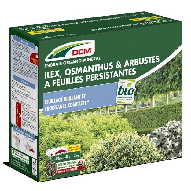 Image de DCM ILEX/OSMANTUS/ARBUS PERS 3KG