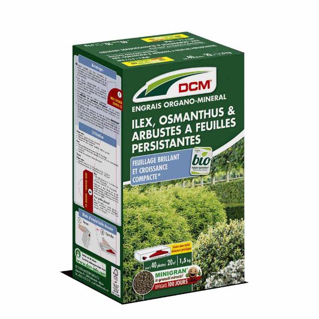 Image de DCM ILEX/OSMANTUS/ARBUS PERS 1,5KG