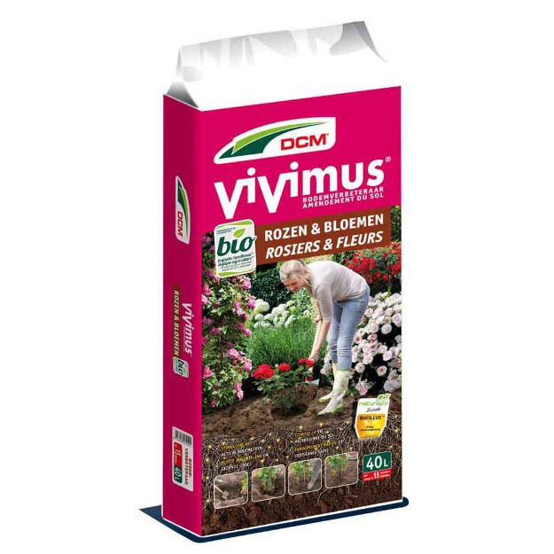 Image de DCM VIVIMUS ROSIER/FLEUR 40L