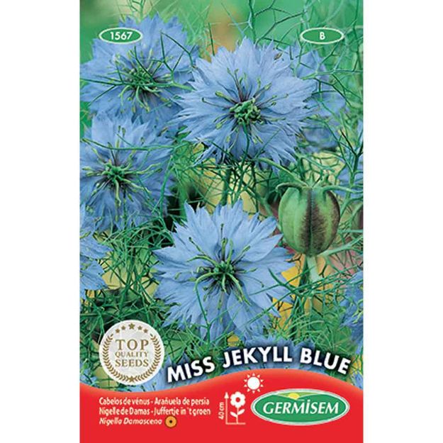 Image de Graines de nigelle de damas miss jekyll bleue