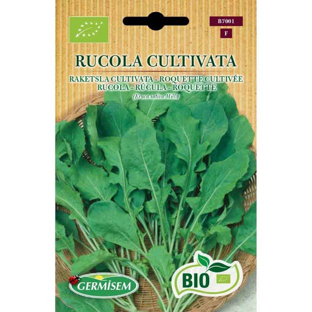 Image de Graines bio de roquette cultivée