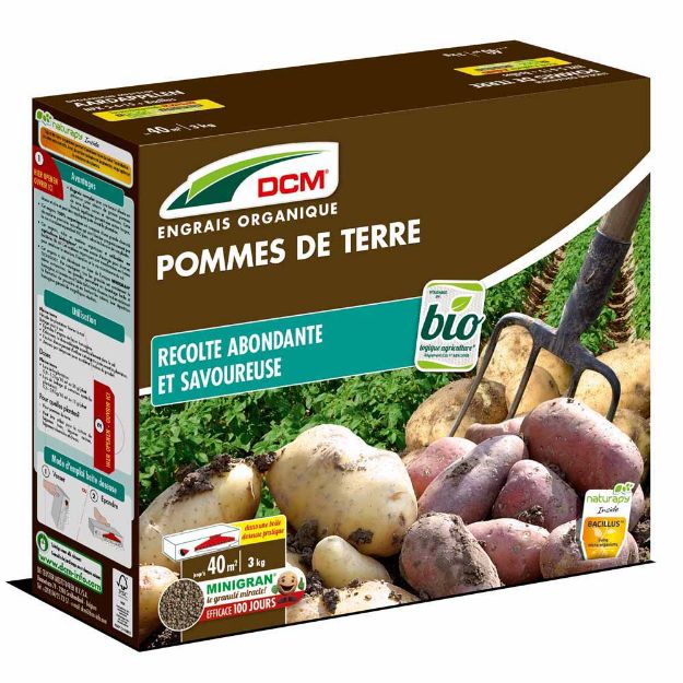 Image de DCM POMMES DE TERRE 3KG