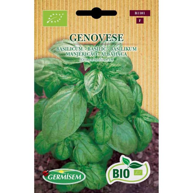 Image de Graines bio de basilic genovese