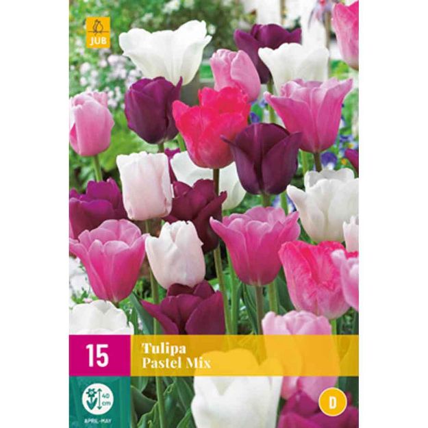 Image de 15 tulipes pastel micalibre : 11/12