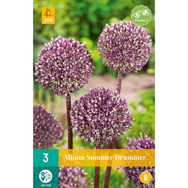 Image de 3 allium summer drummer calibre : 12/+