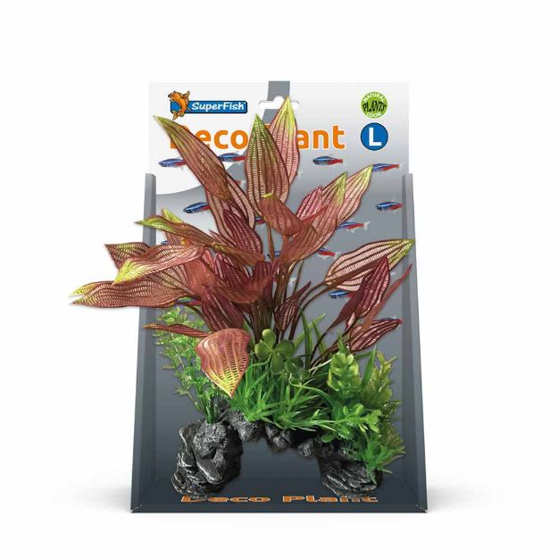 Image de SUPERFISH DECO PLANT L HENKELIANUS