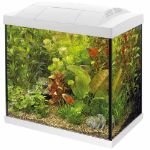 Image de SUPERFISH START 50 TROPICAL KIT BLANC