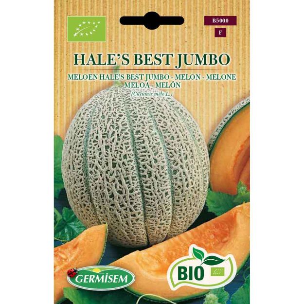 Image de Graines bio de melon hale's best jumbo