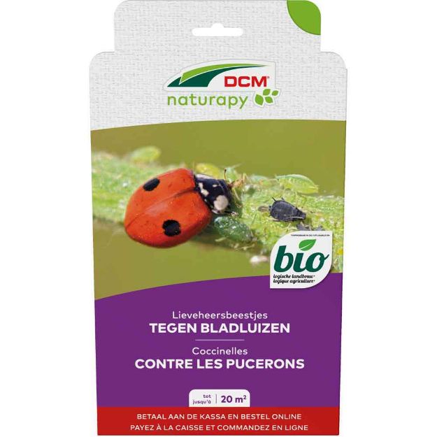 Image de DCM ADALI-GUARD 20M² (coccinelles)