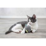 Image de Junior doudou ours, My Catnip, en tissu