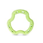 Image de Jouet chien TPR anneau Green Apple 21cm