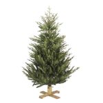 Image de Sapin Arkansas Dark Green 152cm